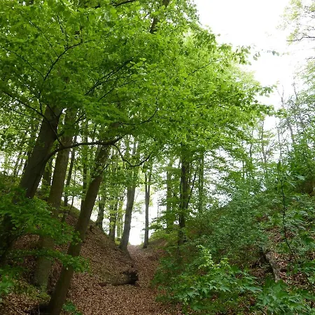Apartamento Familienfreundliche Mit Garten