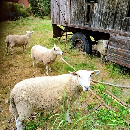 Familienfreundliche Mit Garten *